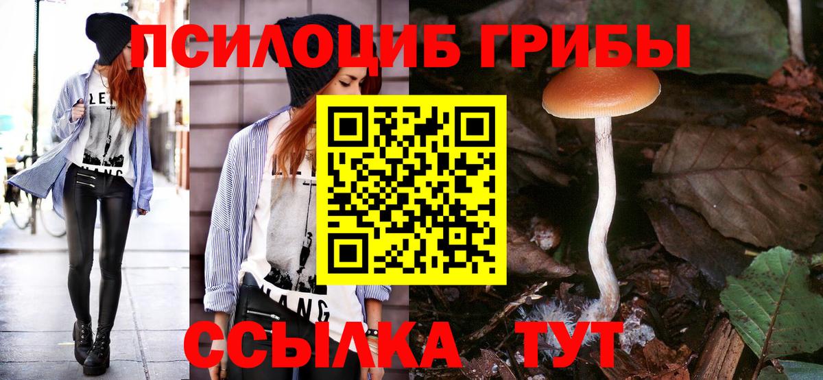 Галлюциногенные грибы Magic Shrooms Гай