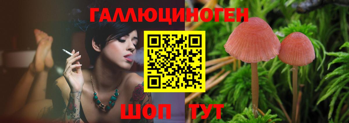 наркота  Вход с VPN  Псилоцибиновые грибы Cubensis  Гай  Галлюциногенные грибы MAGIC MUSHROOMS 